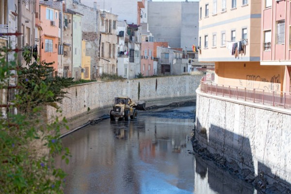 La CHS limpiará de cañas y basura el río Segura desde Orihuela hasta su desembocadura 