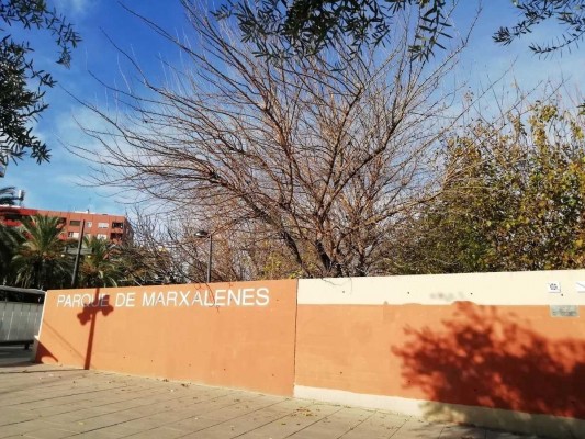 El fuerte viento provoca el cierre de los parques de València y 11 incidencias nocturnas en la provincia