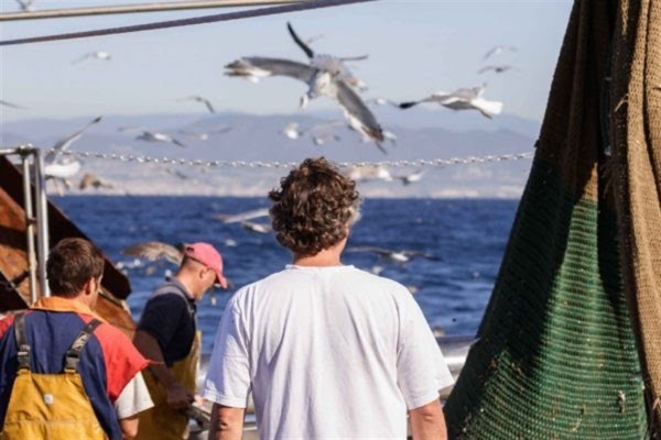 El 80% de crías de aves marinas muere en su primera semana de vida en el mar especialmente en zonas con más pesca ilegal