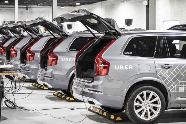 Uber quintuplicará a medio plazo su presencia en Alicante y Elche tras despedirse de Barcelona