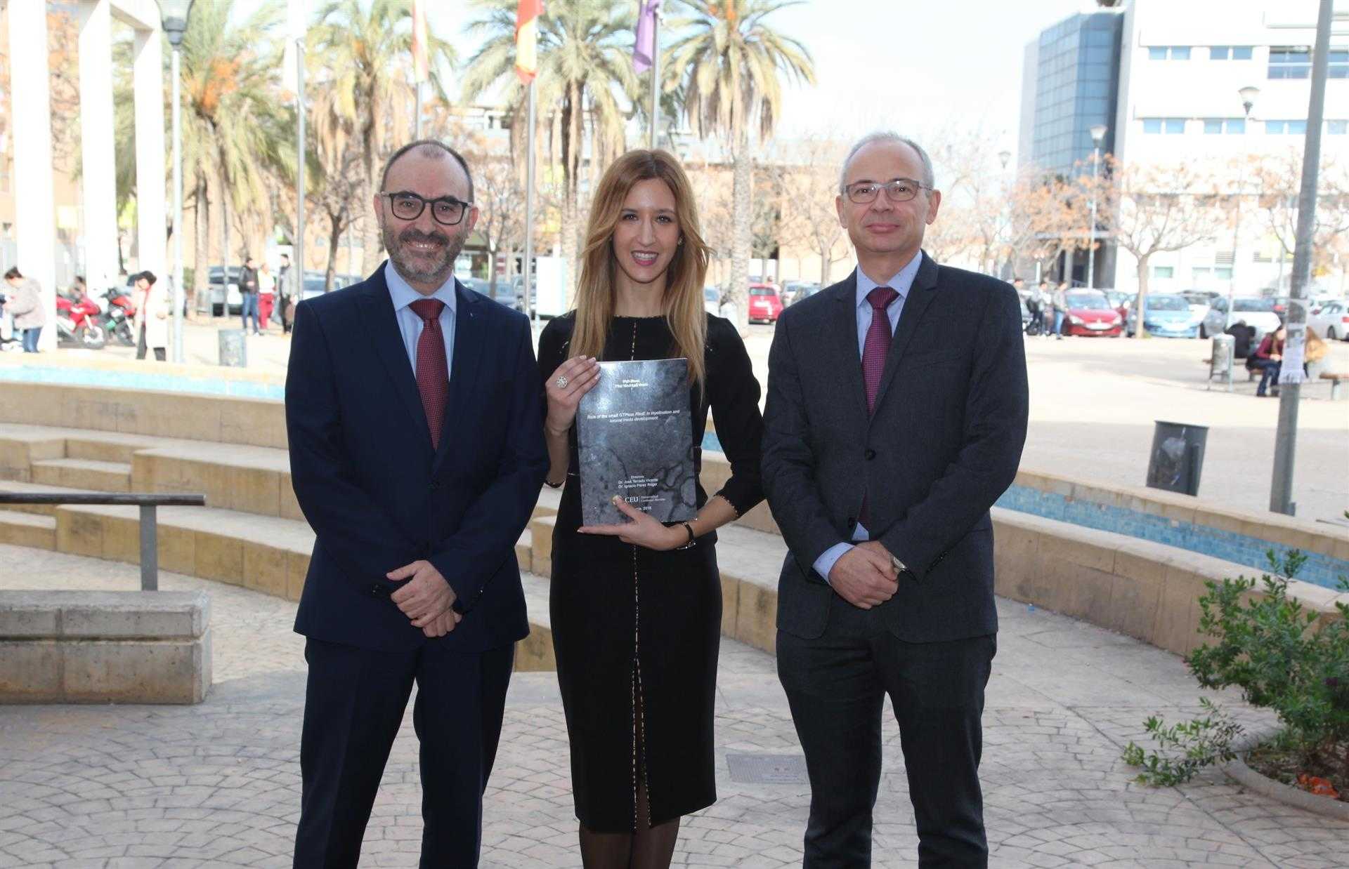 Avanzan en el conocimiento del papel de la proteína RhoE en la formación del sistema nervioso central