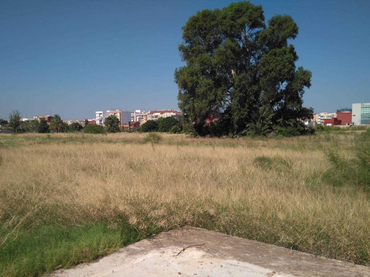  El jardín provisional del Parque de Desembocadura protegerá los árboles de interés especial