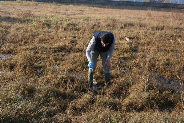 Almassora inicia la lucha contra los mosquitos para prevenir en lo posible las molestias en verano
