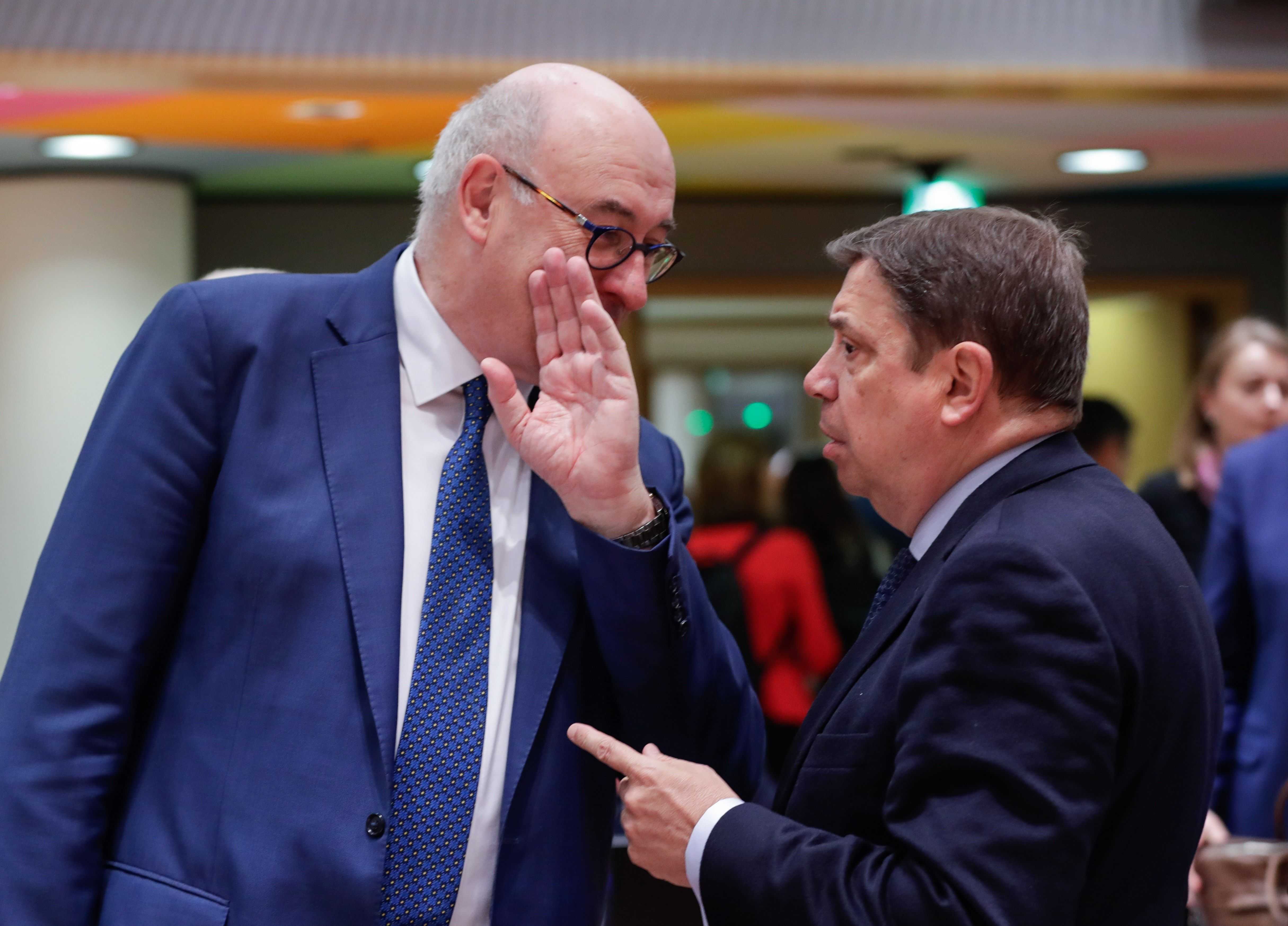 Planas descarta más medidas de apoyo a los cítricos 