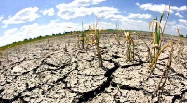 ¿Cambio climático? La Comunitat Valenciana vivió el mes de diciembre más cálido desde 1950