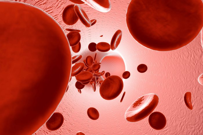Terapia génica e inmunoterapia, entre los últimos avances en Hematología