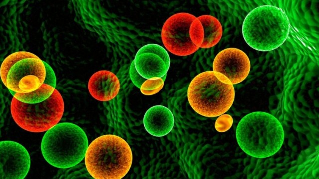 Investigadores de EEUU encuentran un proceso celular que detiene el cáncer antes de que comience