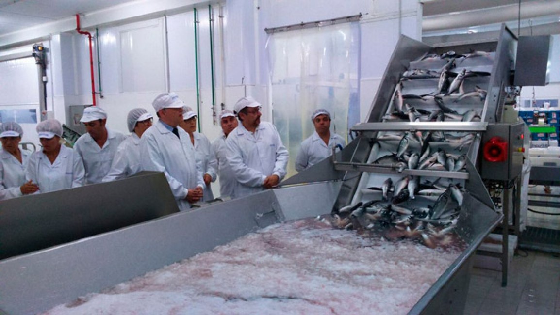 Las instalaciones del grupo Andromeda en Burriana, durante una visita institucional. - 