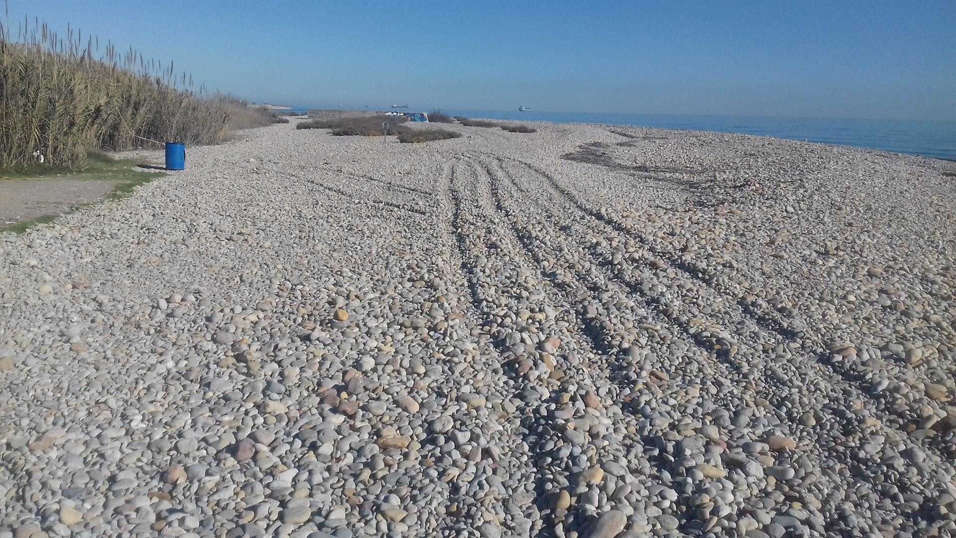 El Consorcio del Millars denuncia la circulación de todoterrenos por la playa de la gola sur de Borriana