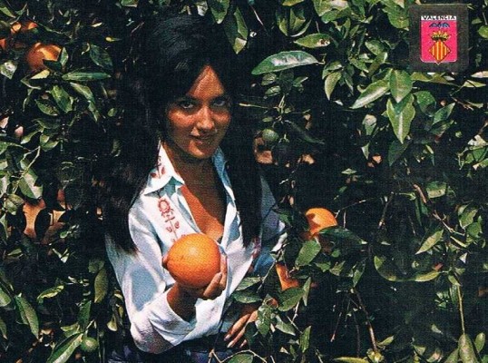 Se buscan influencers. Razón: salvar la naranja valenciana