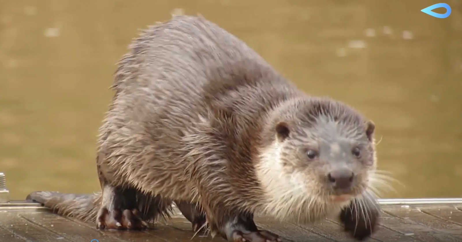 Foto: FUNDACIÓN AGUAS DE VALÈNCIA - 