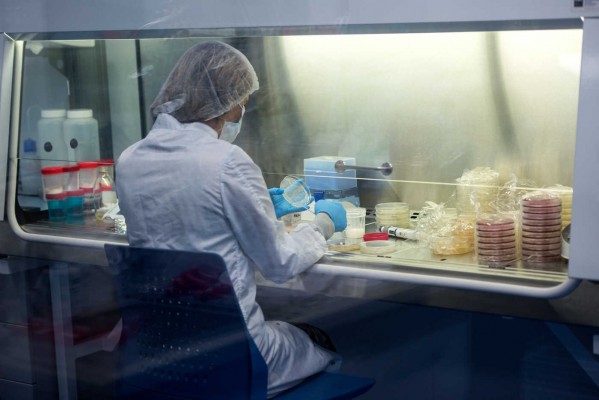 Suavinex y Mediterránea inyectan 70.000 euros para financiar el crecimiento de Blue Sea