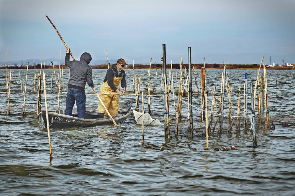 La mostra audiovisual ‘Els músics de les aigües’ retrata el ritual de la pesca valenciana