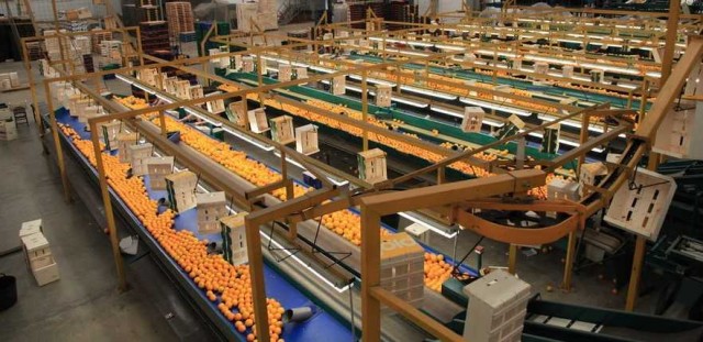 Una guía ayuda a prevenir los riesgos laborales en las cooperativas agrarias
