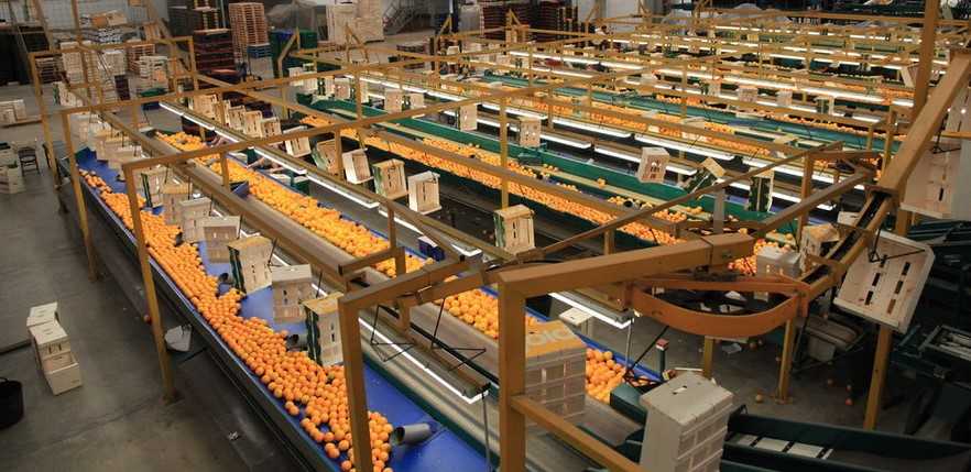 Una guía ayuda a prevenir los riesgos laborales en las cooperativas agrarias