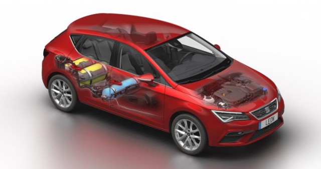 Seat abre los pedidos en España el nuevo León 1.5 TGI EVO desde 23.030 euros
