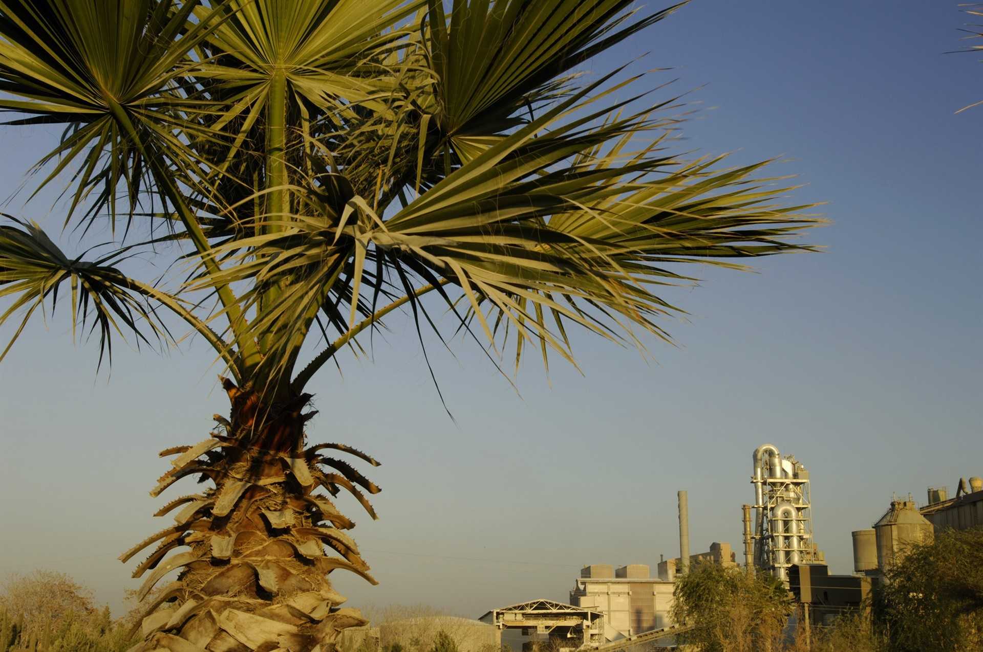 Medio Ambiente sanciona con 52.000 euros a Cemex por carecer de autorización de emisiones