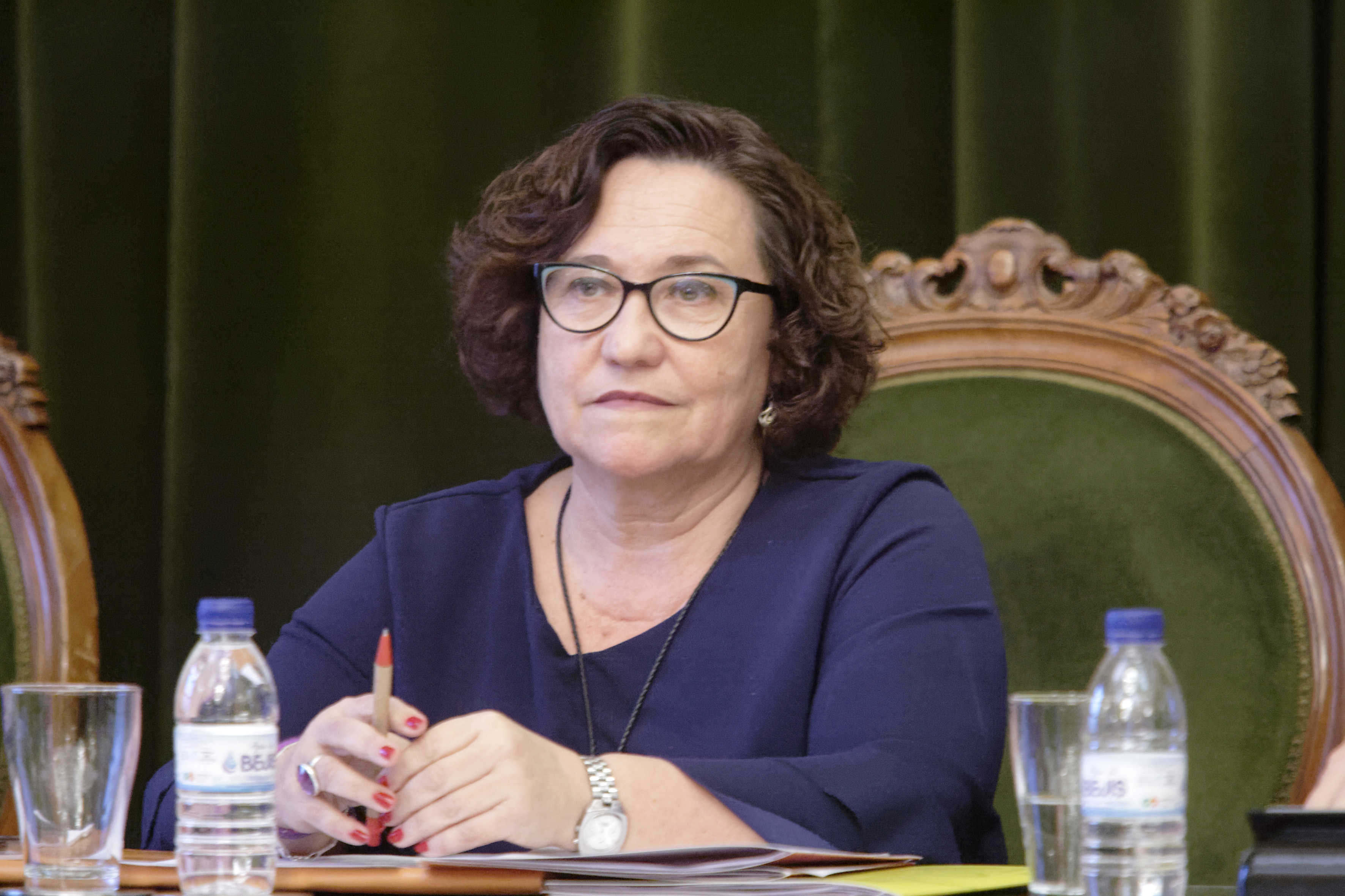 Ali Brancal, en el pleno municipal del pasado mes de diciembre. (Foto: ANTONIO PRADAS) - 