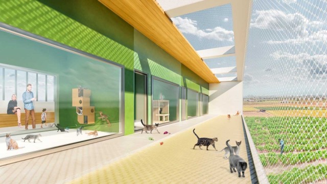 El nuevo refugio de animales será visitable: tendrá 220 plazas para mascotas y vistas a la huerta