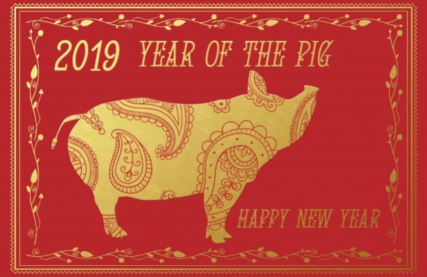 El año del cerdo
