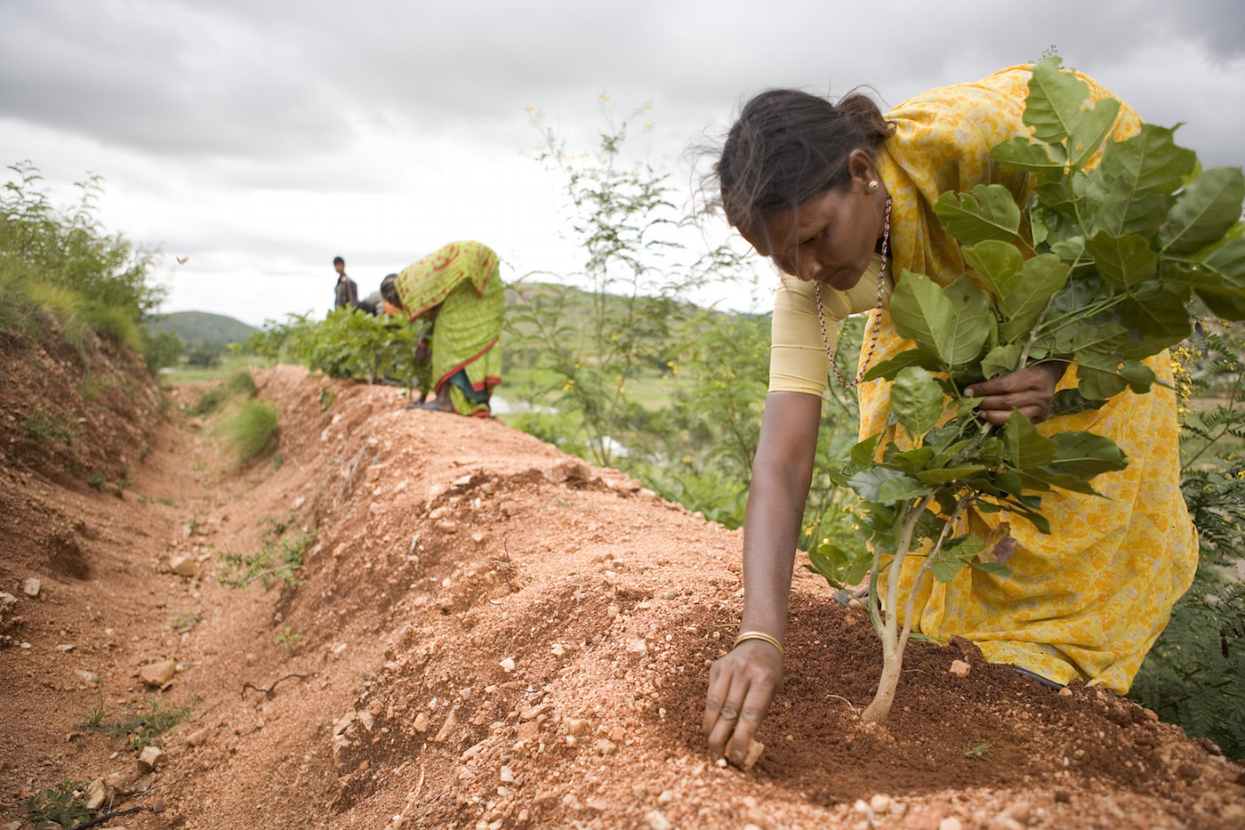 Empresarios valencianos realizarán una estancia en la Fundación Vicente Ferrer en la India
