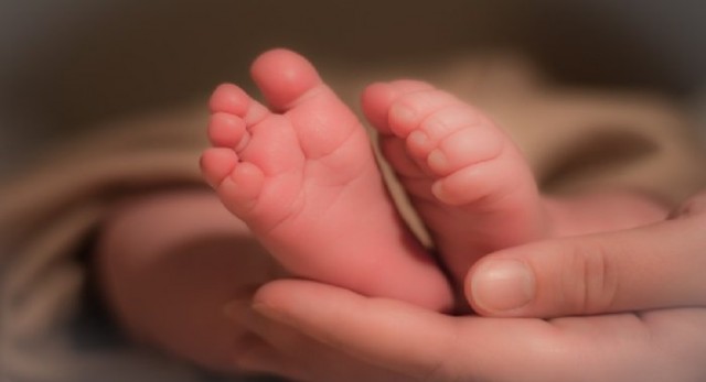 Lola, el primer bebé que ha nacido en la Comunitat Valenciana en 2019