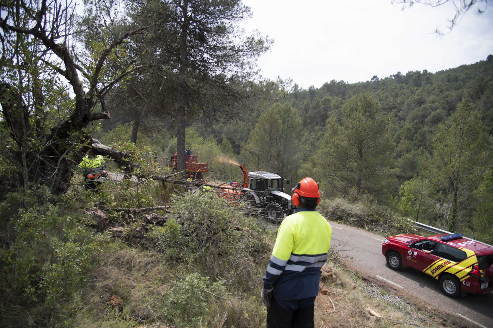  Las brigadas forestales actúan en 130 kilómetros para prevenir incendios en 43 localidades