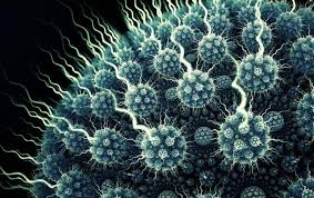 Investigadores españoles descubren una estrategia que usan los virus para evitar el sistema inmune