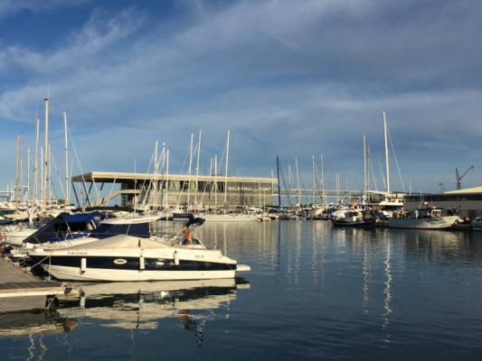 El Botànic y Cs aprueban la ley que permite la creación del órgano autónomo del Puerto de Dénia