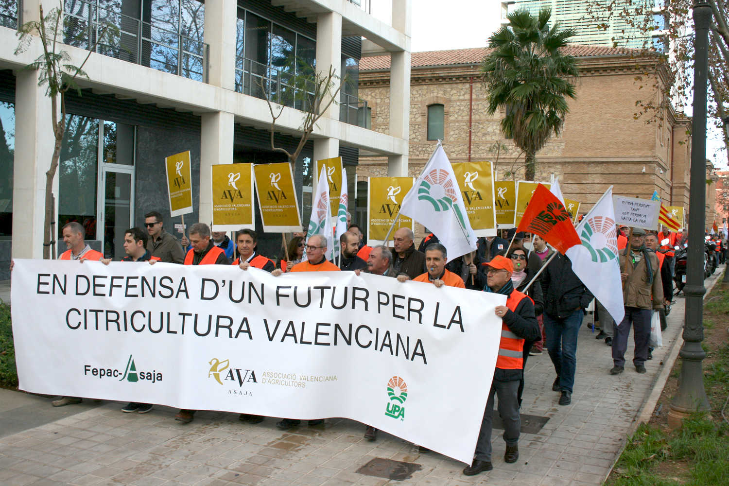 El Ministerio anuncia a los agricultores un plan para retirar naranja para zumo que se repartirá gratis