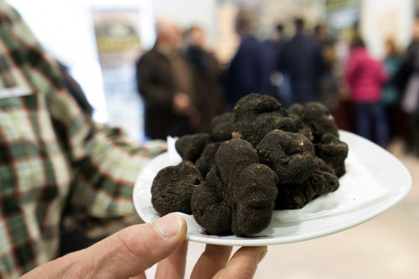 Un gran mercado de trufa negra recala en Castellón para fomentar su uso en la cocina diaria 