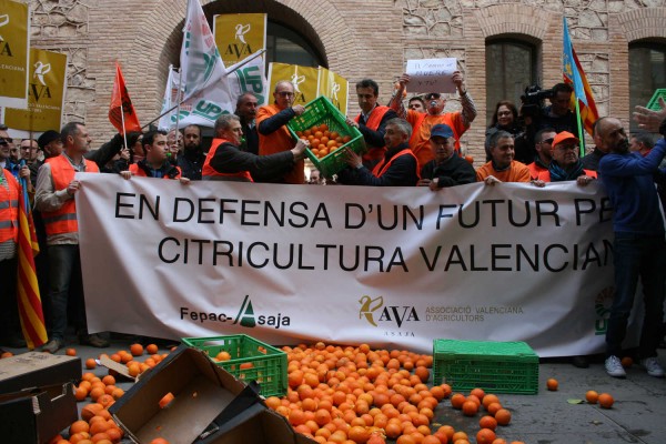 Unos 2.000 citricultores protestan en la Conselleria para exigir soluciones a la 