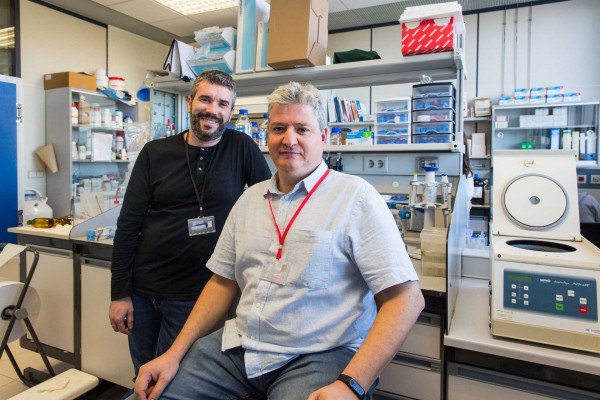 Investigadores de la UJI apuntan a la biodiversidad agraria como herramienta para combatir las plagas