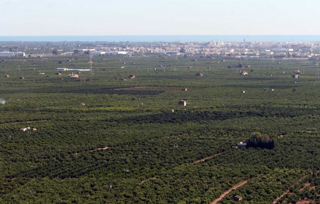 El Consell transfiere 73,7 millones de euros en ayudas de la PAC al sector agrario