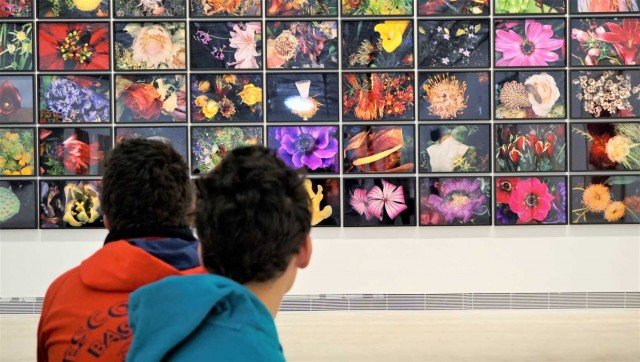 Bombas Gens es convertix en 'aula' per a projectes educatius de llarg recorregut