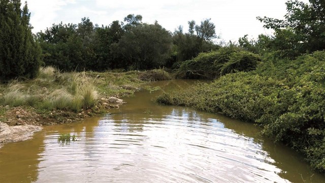 Coordinadora per Les Moles agradece que el Consell incluya el paraje en el Plan del Túria
