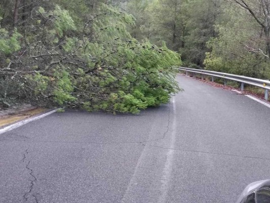 El PSPV pide a Moliner un plan de carreteras para evitar situaciones de peligro en algunas vías