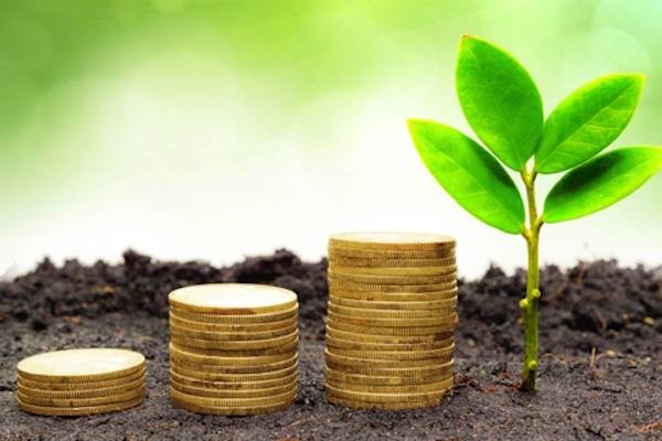 ¿Busca 'inversiones verdes'? Encuéntrelas en el mapa de financiación verde y sostenible