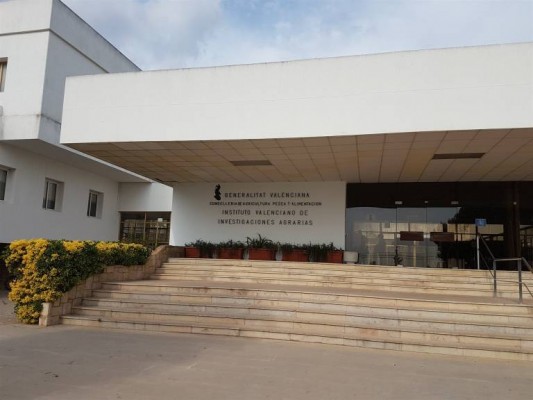 La Sindicatura de Comptes detecta varias incidencias contables en el IVIA durante 2017