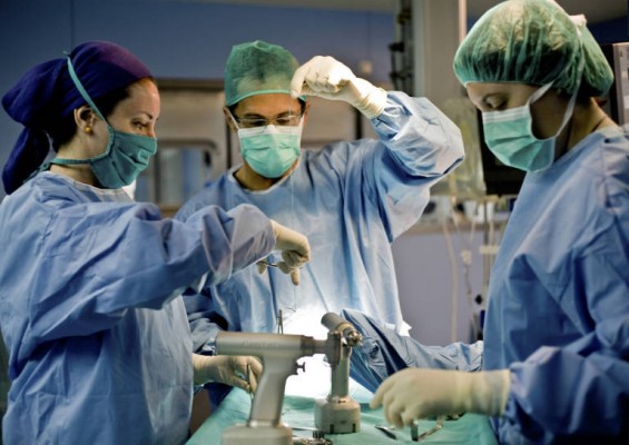 Personal sanitario a los pies de los caballos


