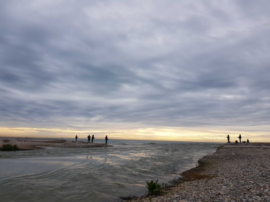 El Millars luce en la desembocadura por las lluvias y peces y anguilas remontan su curso