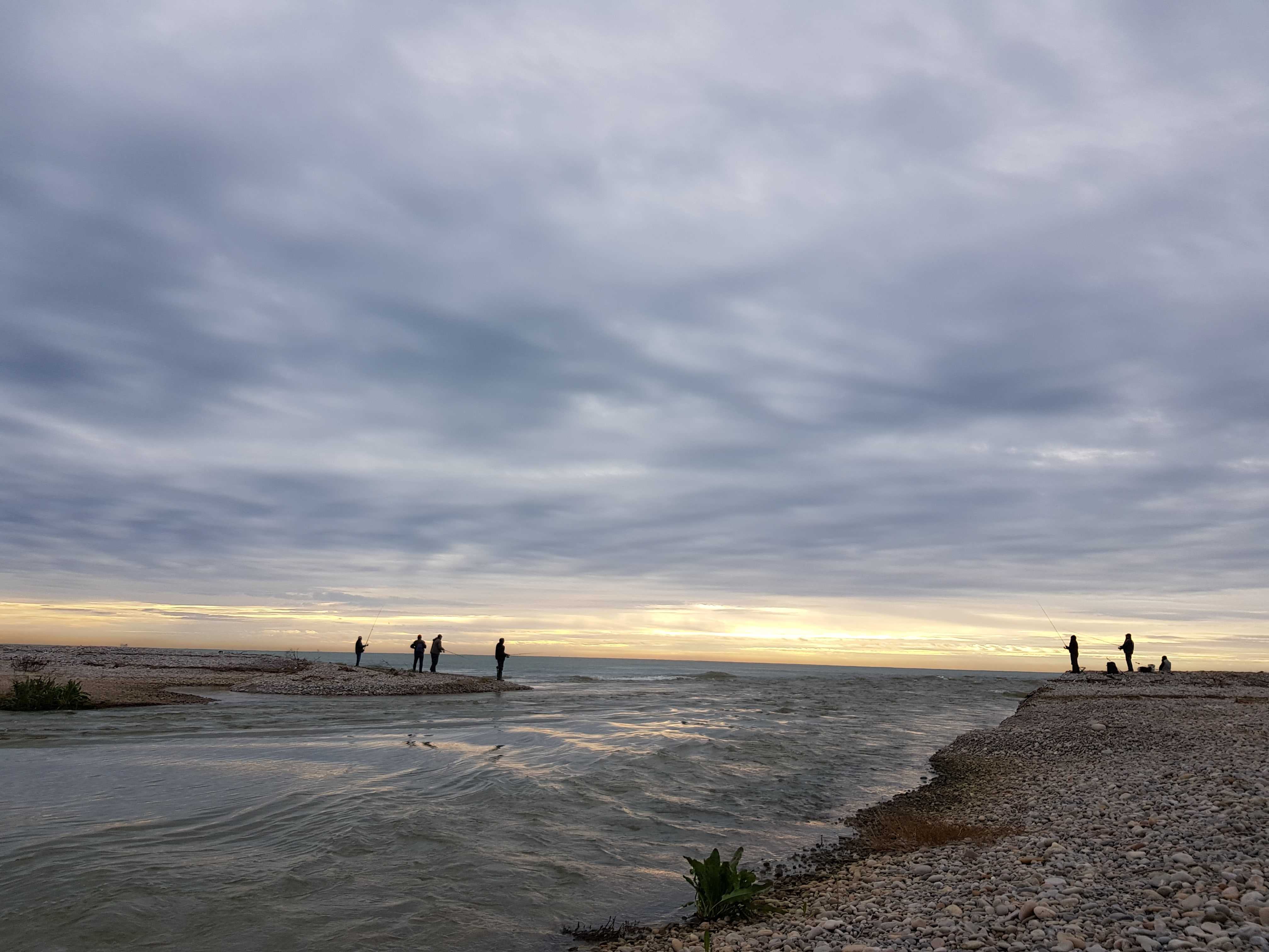 El Millars luce en la desembocadura por las lluvias y peces y anguilas remontan su curso