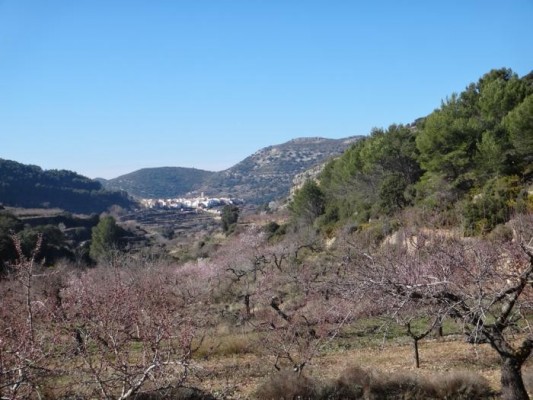El Consell declara a la Serra d'en Galceran como zona especial de conservación