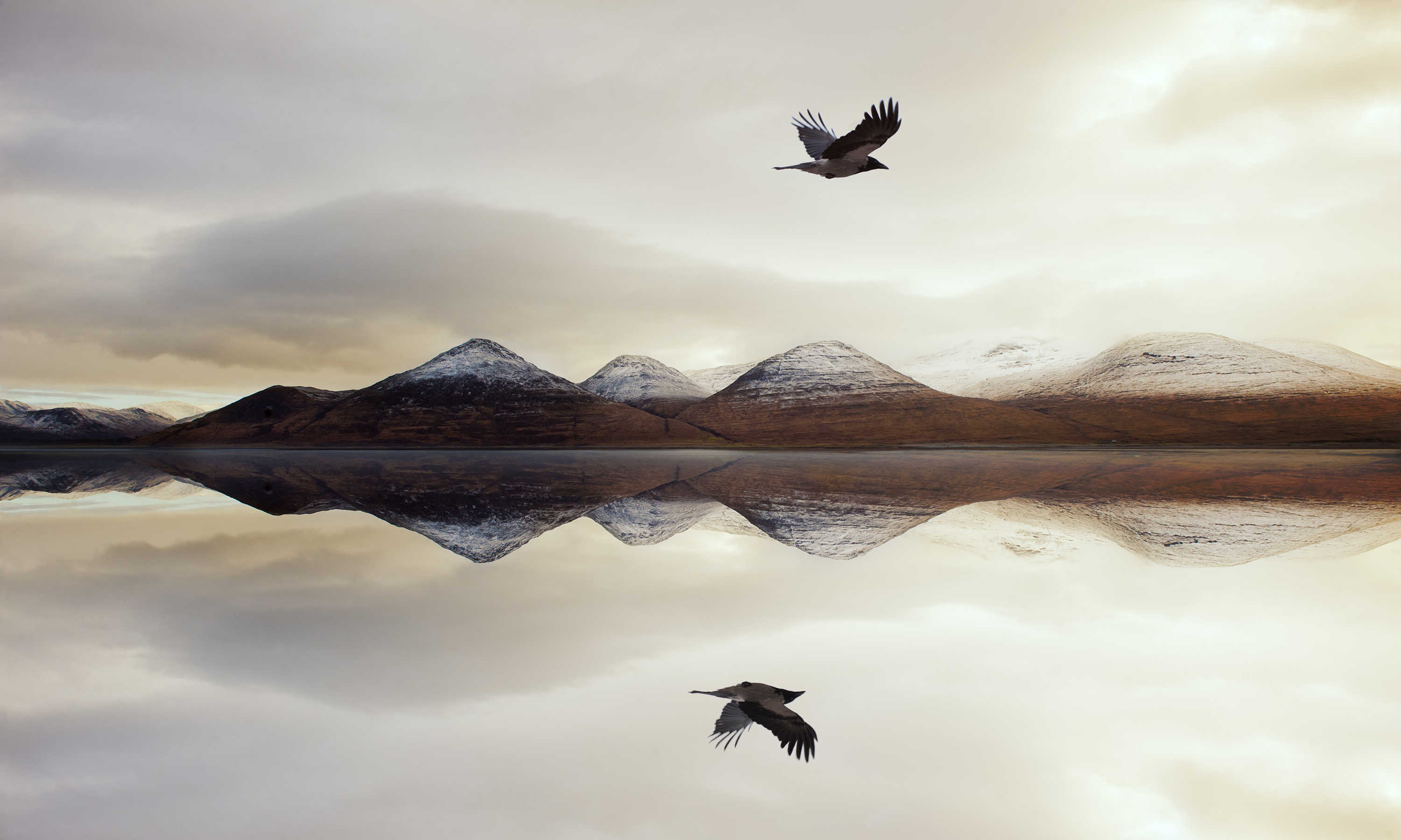 Foto: PABLO ORTUÑO. - 