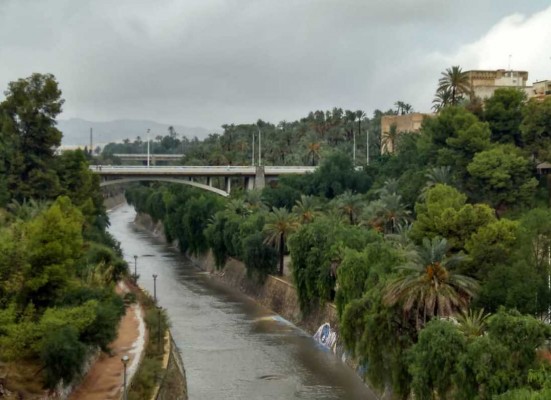 Lluvia de críticas al Ayuntamiento de Elche: suspendió las clases con alumnado ya en las aulas