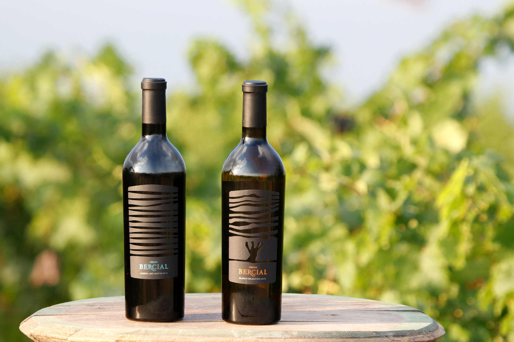 Vinos de Cerro Bercial - 