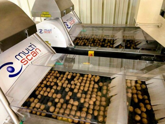 La contestana Multiscan sube su presencia en EEUU con Duravant para procesar nueces en California