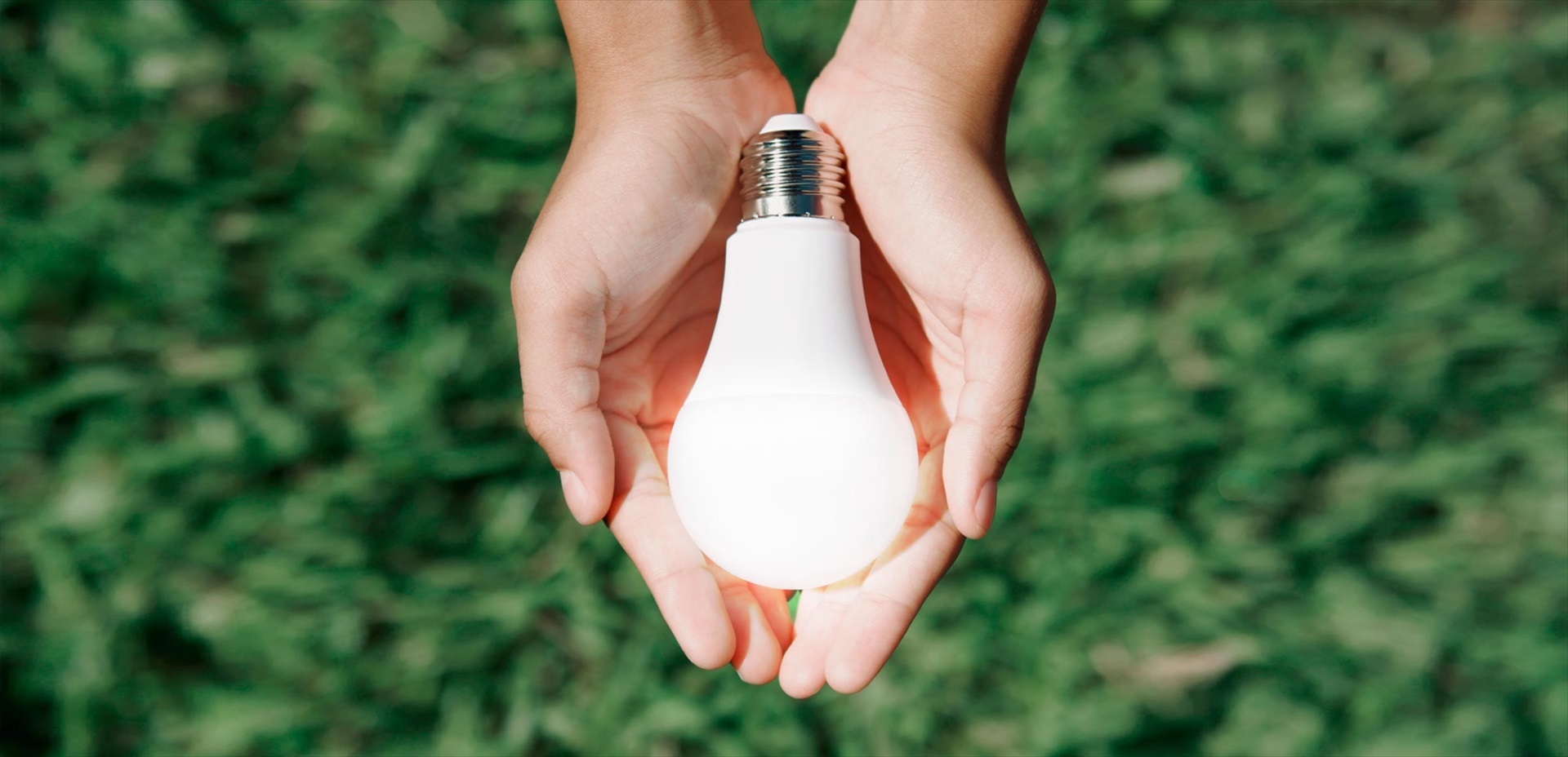 El PSOE pide al Gobierno que avance hacia un bono social energético 