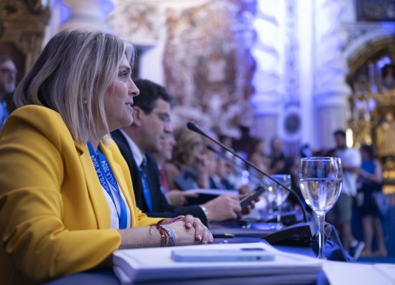 Barrachina pedirá al Gobierno el próximo martes 17 