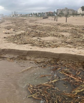 El Foro de Municipios de Costa de la FVMP pedirá al Gobierno reparar daños en las playas 